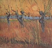 Vincent Van Gogh Willows at Sunset (nn04) oil